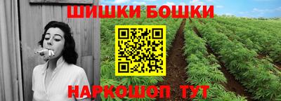 стафф Лесосибирск