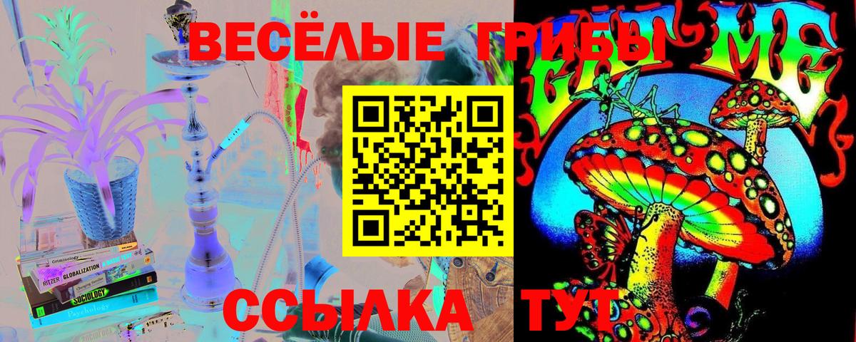 Псилоцибиновые грибы MAGIC MUSHROOMS Димитровград