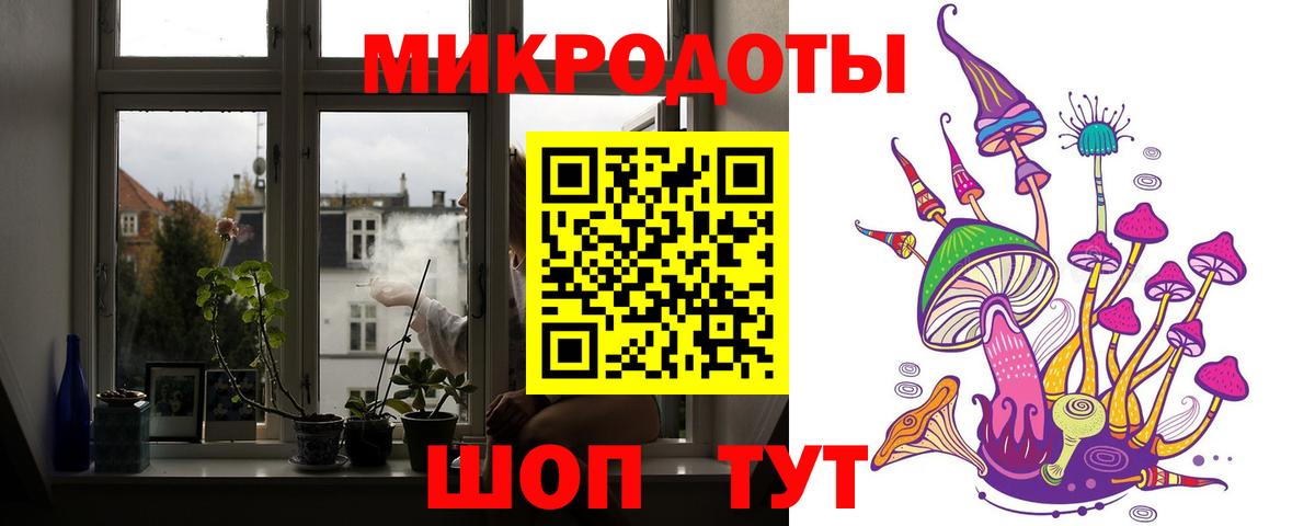 купить закладку  Вход с VPN  Димитровград  Псилоцибиновые грибы Magic Shrooms 