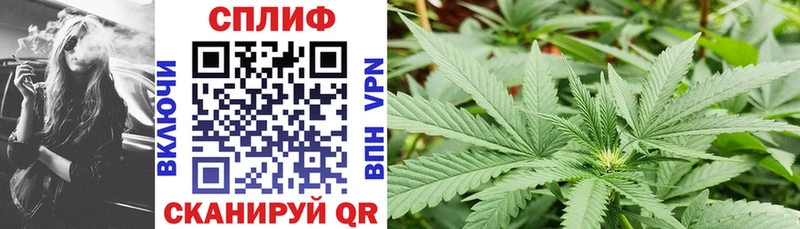 где найти   Димитровград  ссылка на мегу ТОР  Марихуана THC 21% 